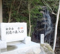 創造の森