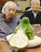 多気町森のこかげのスイカ?