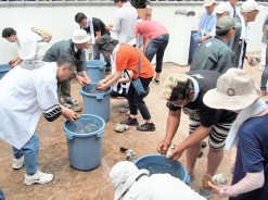 松阪神社「お白石洗い」