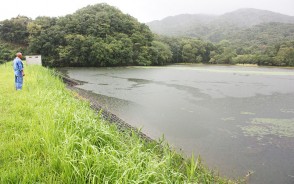ため池