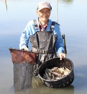 ハゼ採り