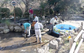 森林公園の掃除