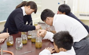 相可高の研究