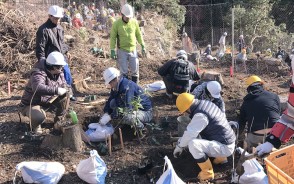 大台の記念植樹