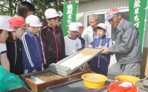 機殿小で種まき