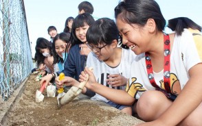 徳和小のヒマワリ種まき