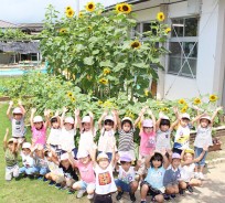 釜田幼のひまわり