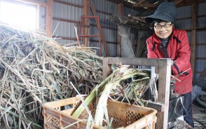 清水さんが黒砂糖作り