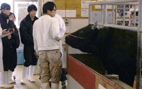190116相可高で畜産JGAP審査