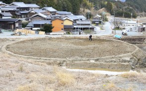 車田でせっせと石拾い
