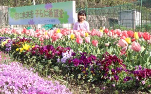 190413有間野のチューリップ