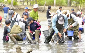190601祓川の水生生物調べ