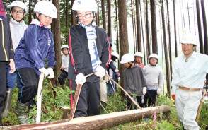 190705香肌と宮前の2小が林業体験