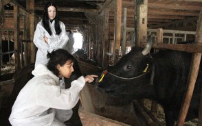 191128イタリアの学生が多気町訪問