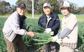 規格外で売れないネギを友人の世古さん(左)に託す浅沼さん夫婦=柿木原町の畑で