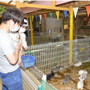 200518五桂動物園が再開