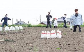 200522かかし2