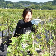 200618伊勢芋畑を守りたい