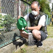 200620ヒマワリで町を明るく