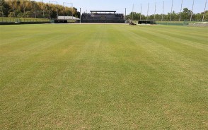 613松阪野球場を整地
