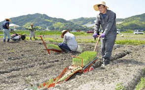 200624来春から伊勢芋農家に