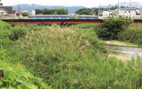 200709阪内川に土砂や木