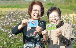 201029夫が好きだったチョウ呼ぶ