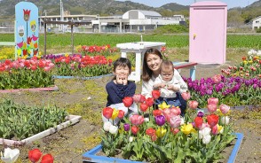 210403相可のチューリップ