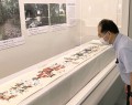 斎王群行に関する資料が並ぶ展示室＝明和町竹川の斎宮歴史博物館で